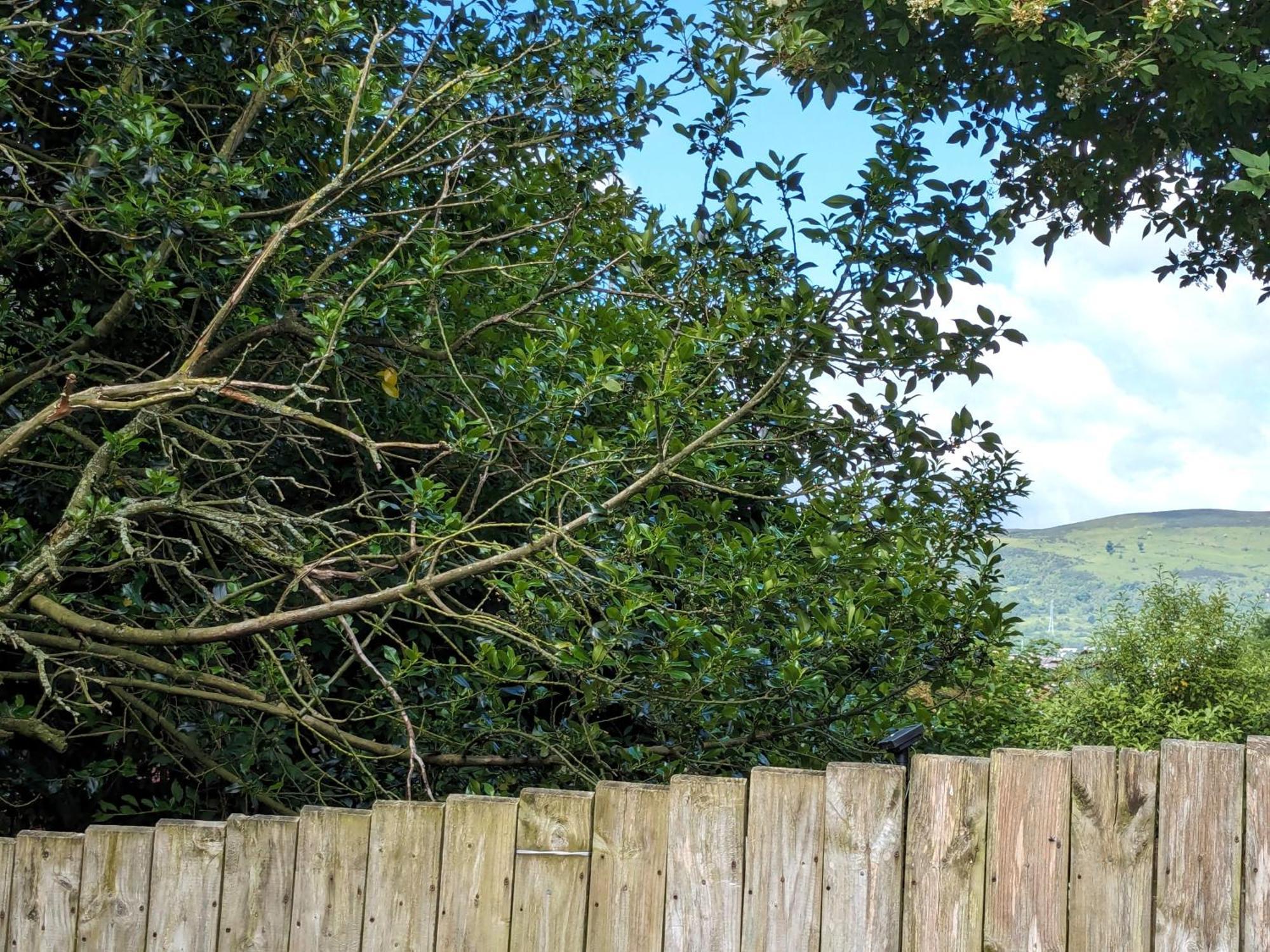 Вілла Heart Of Belfast With Private Garden Екстер'єр фото
